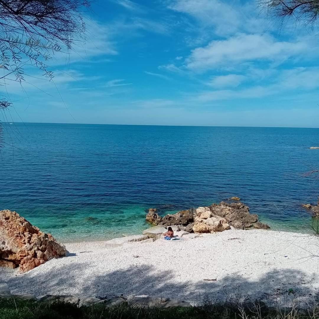 Amaste In Puglia Casa Vacanza 비쉘리에 외부 사진